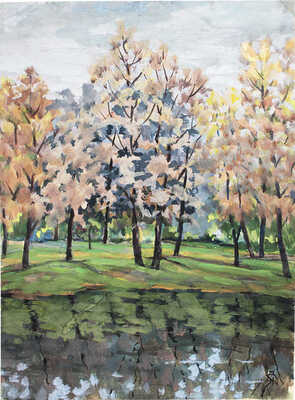 Костромитин Андрей Николаевич. Подмосковье